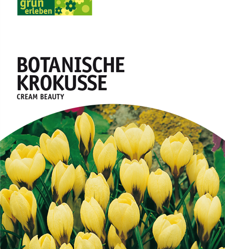 Botanische Krokusse