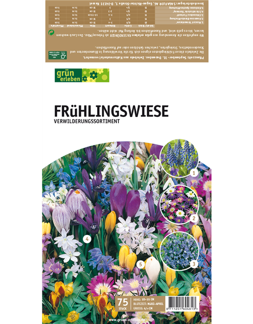 Frühlingswiese