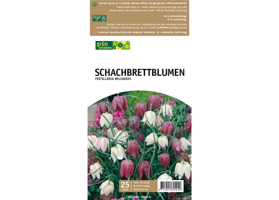 Schachbrettblumen