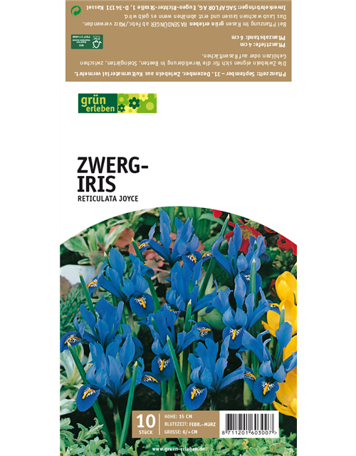 Zwerg-Iris