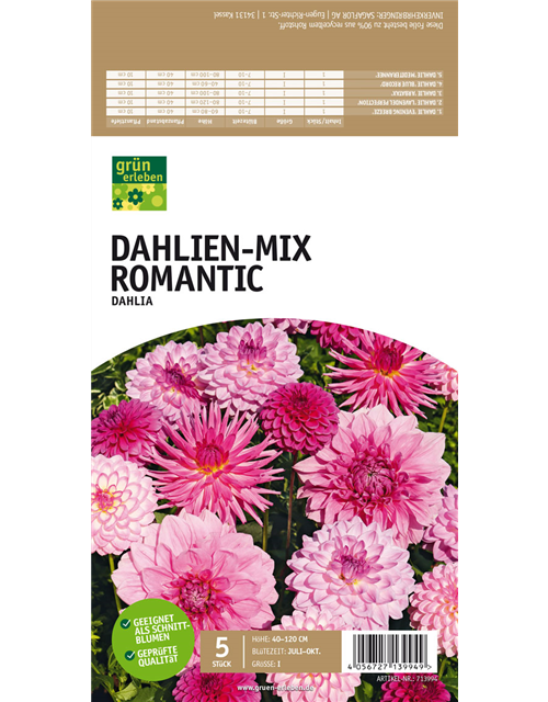 Dahlien-Mix Romantic