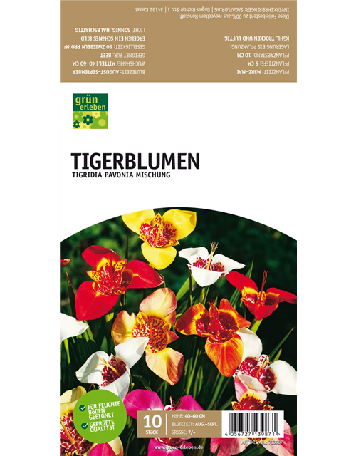 Tigerblumen