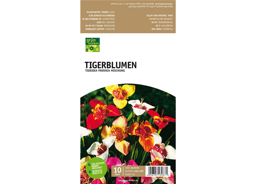 Tigerblumen