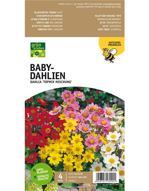 Bienenfreundliche Baby-Dahlien