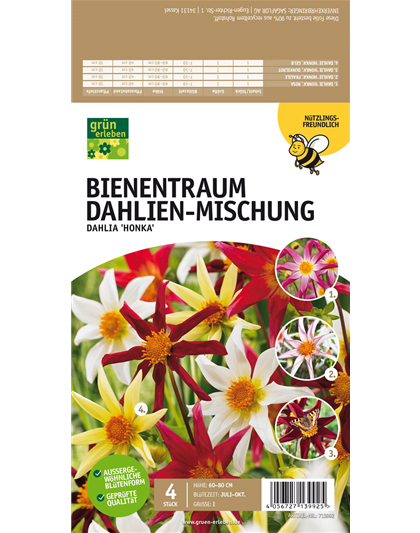 Bienentraum Dahlien-Mischung