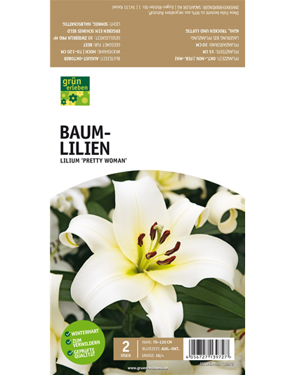 Baum-Lilien