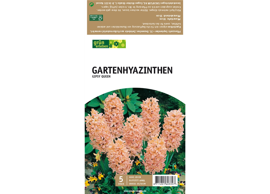 Gartenhyazinthen