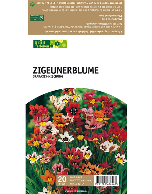 Zigeunerblume