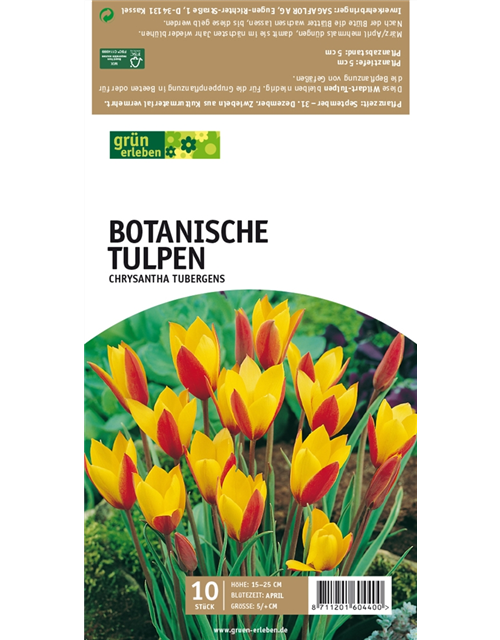 Botan. Wildtulpen