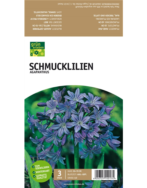 Schmucklilien