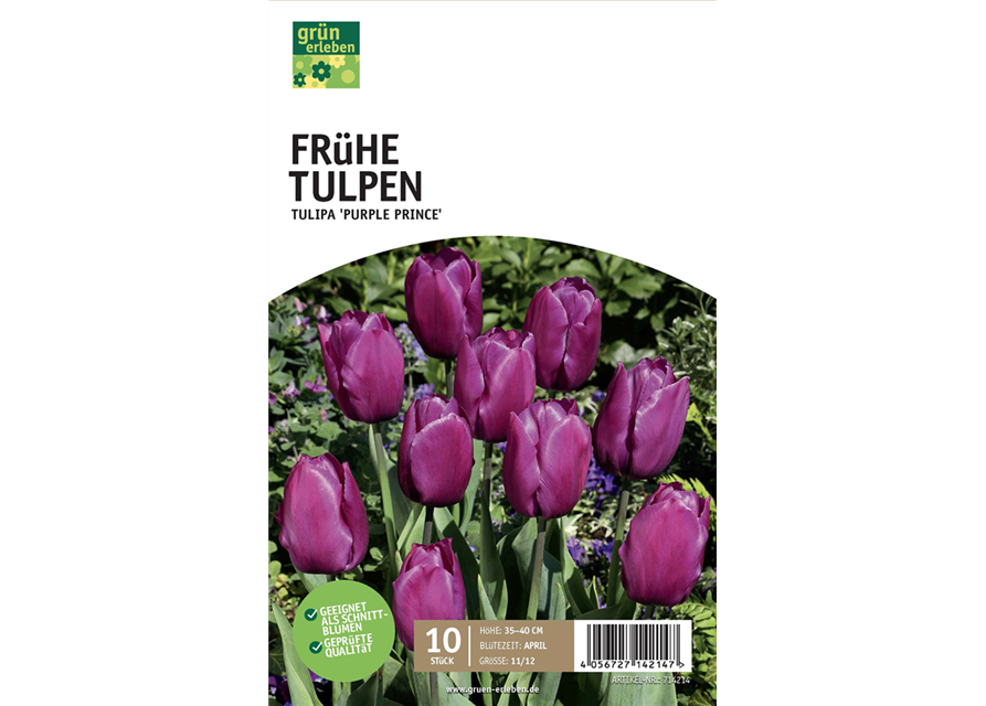 Einfache frühe Tulpen