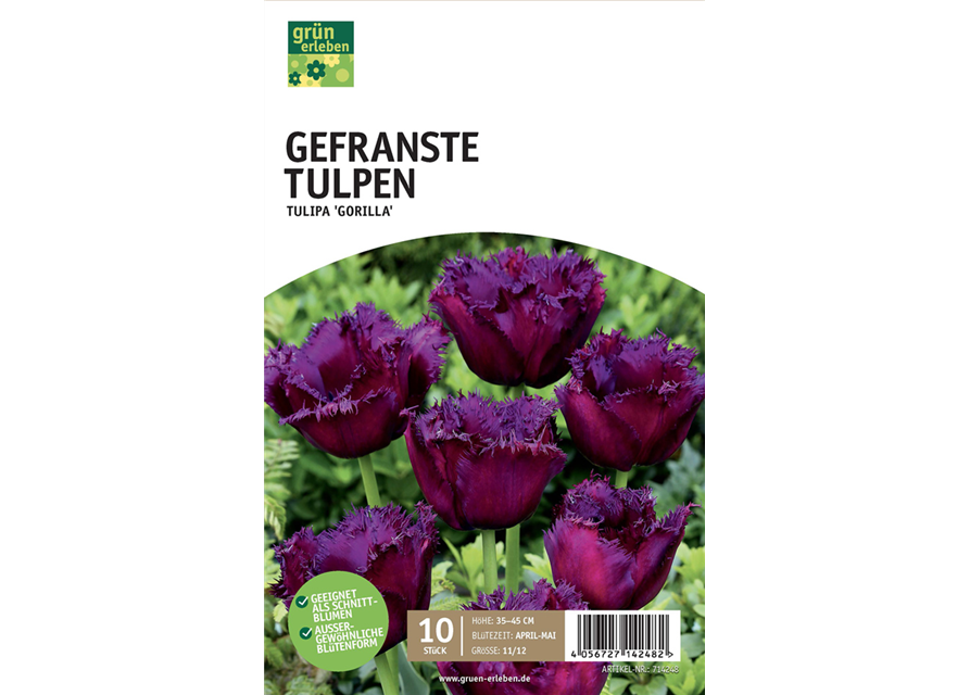 Gefranste Tulpen 