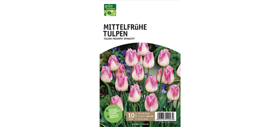 Mittelfrühe Triumph-Tulpen 