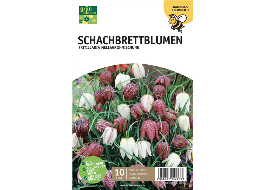 Schachbrettblumen