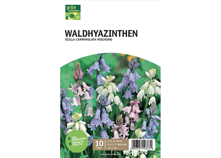 Waldhyazinthen