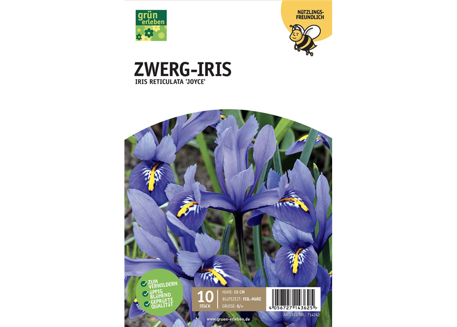 Zwerg-Iris