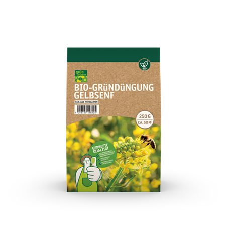 Bio-Gründüngung