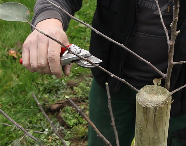 OKTOBER - JETZT GIBT ES NOCH MAL VIEL ZU TUN! OKTOBER - JETZT GIBT ES NOCH MAL VIEL ZU TUN!