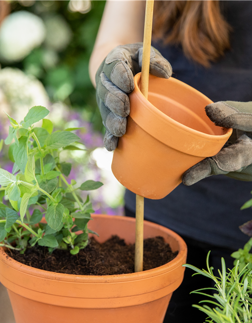 Kreative Gartengestaltung mit DIY-Projekten